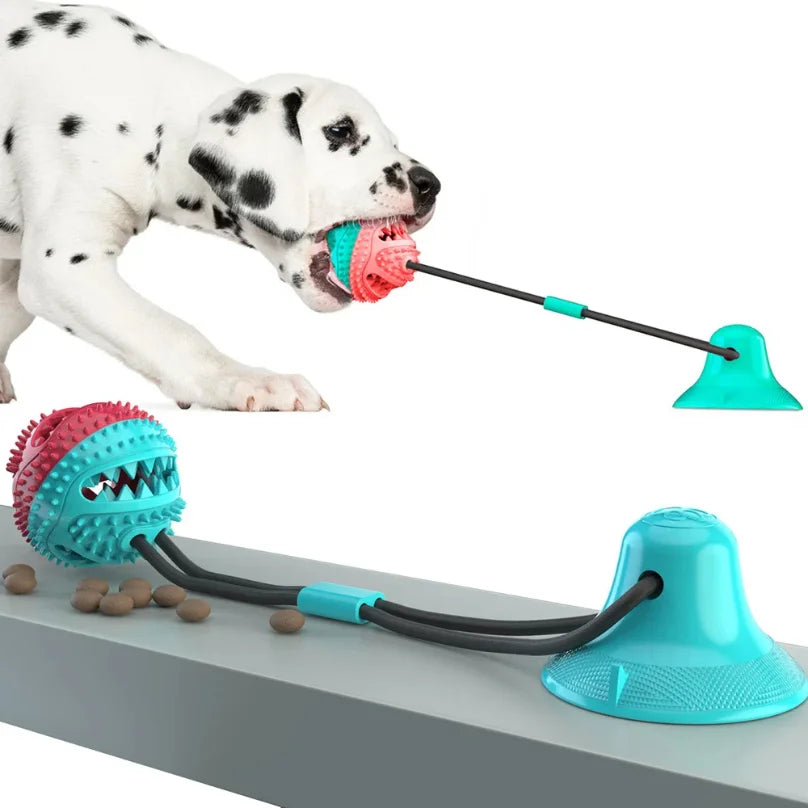 Juguete interactivo para perros con ventosa