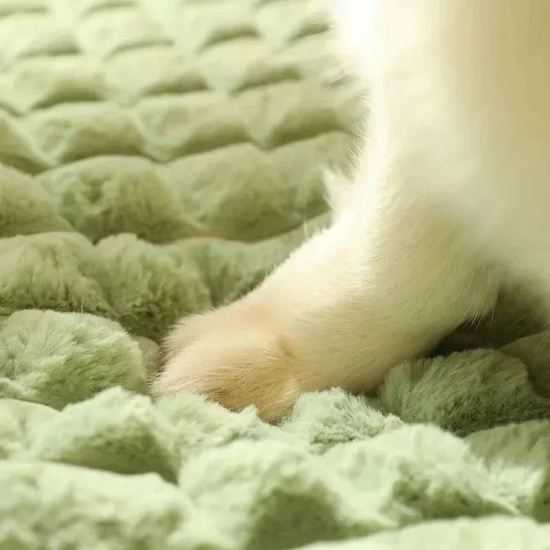 Cama ortopédica para perros con espuma viscoelástica