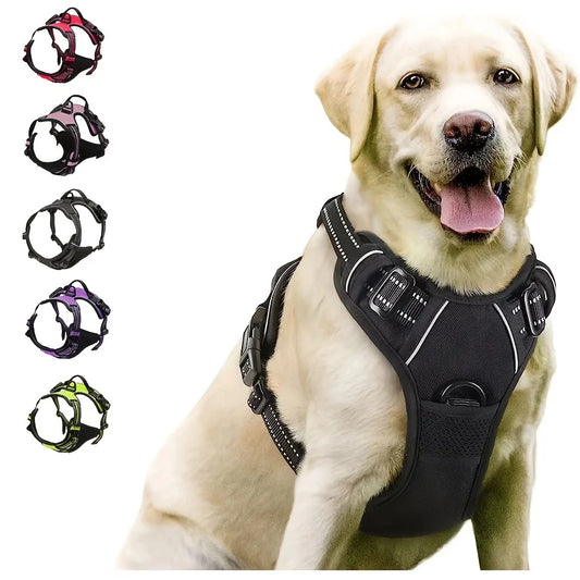Arnés no tirar ajustable con clip frontal