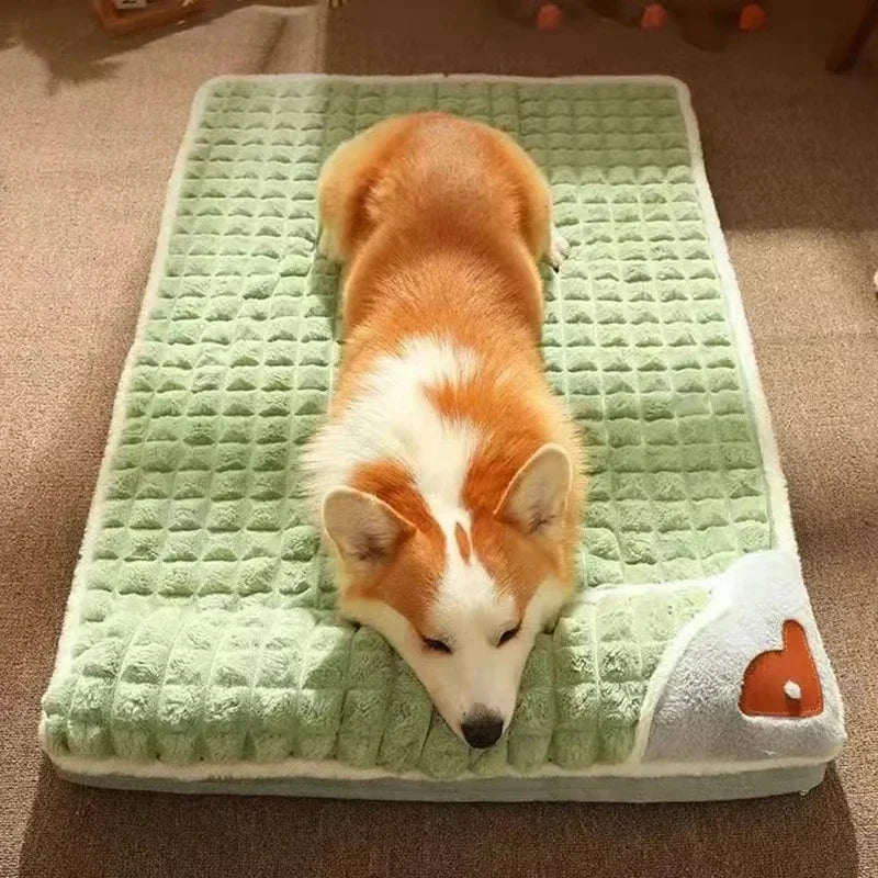 Cama ortopédica para perros con espuma viscoelástica