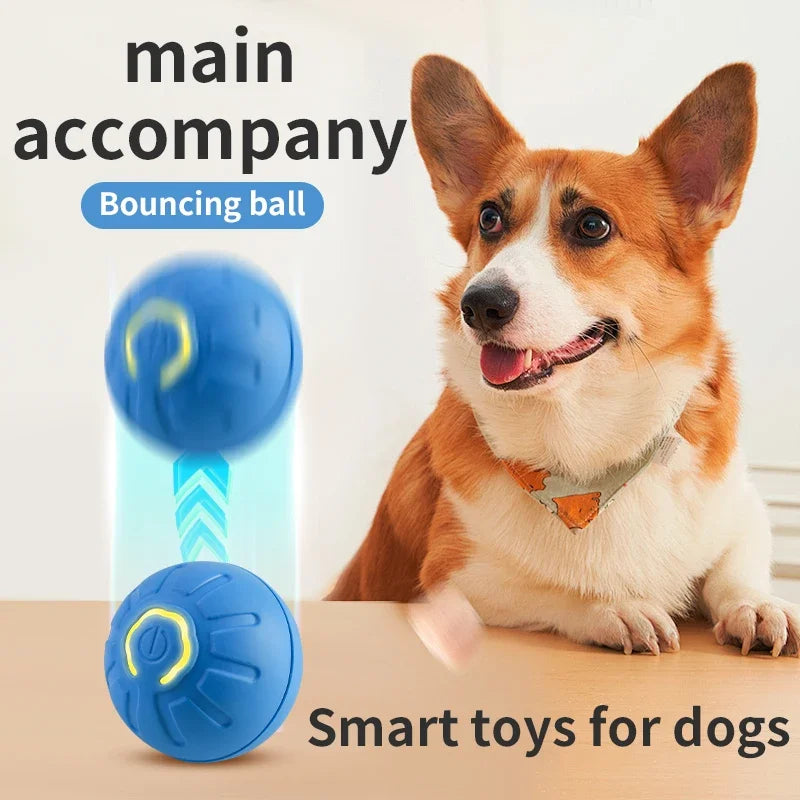 Pelota interactiva para mascotas