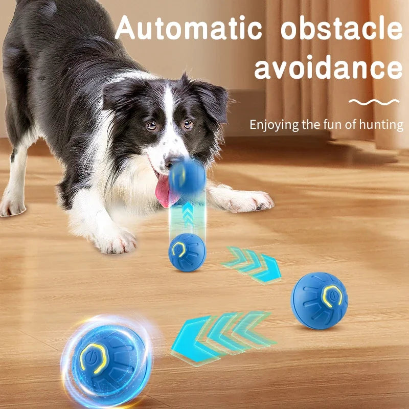 Pelota interactiva para mascotas
