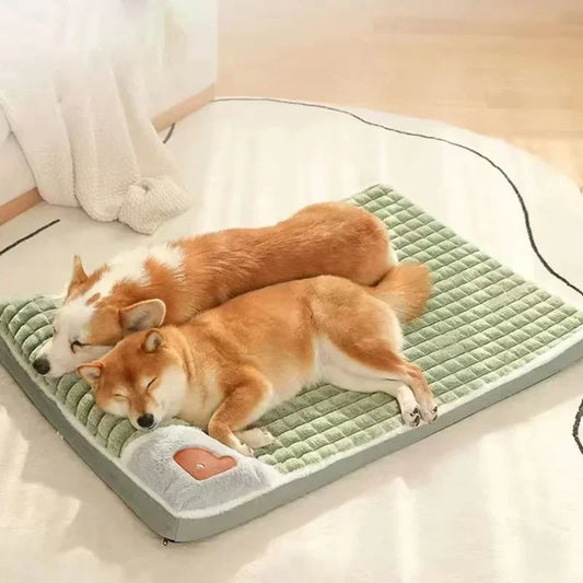 Cama ortopédica para perros con espuma viscoelástica