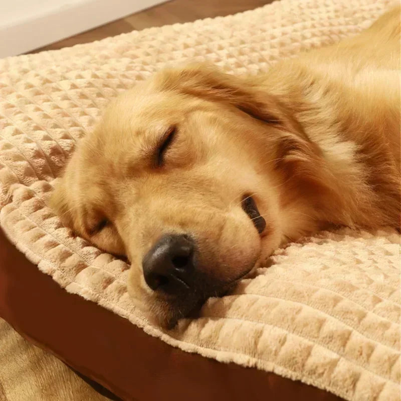 Cama blanda para perros y gatos