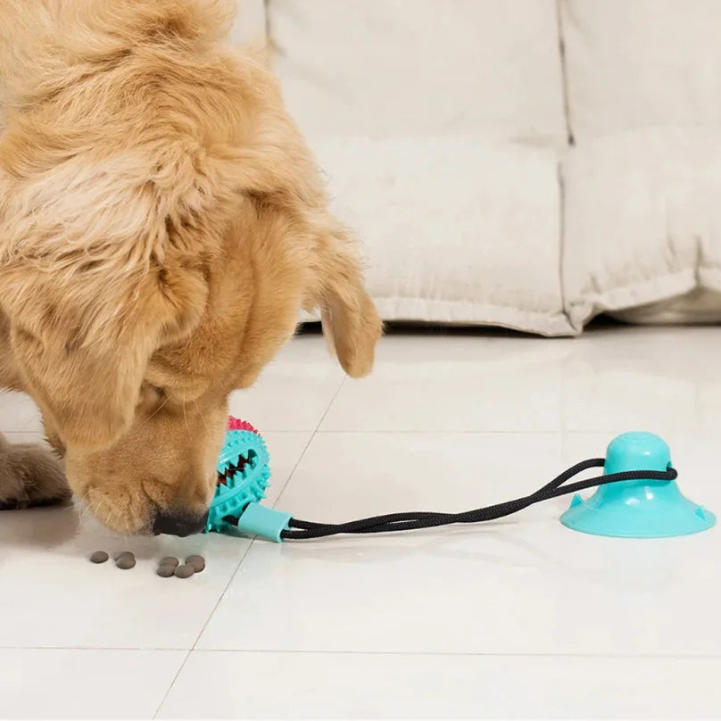 Juguete interactivo para perros con ventosa