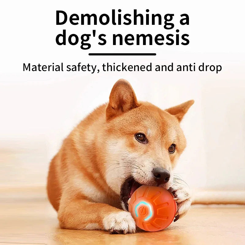 Pelota interactiva para mascotas