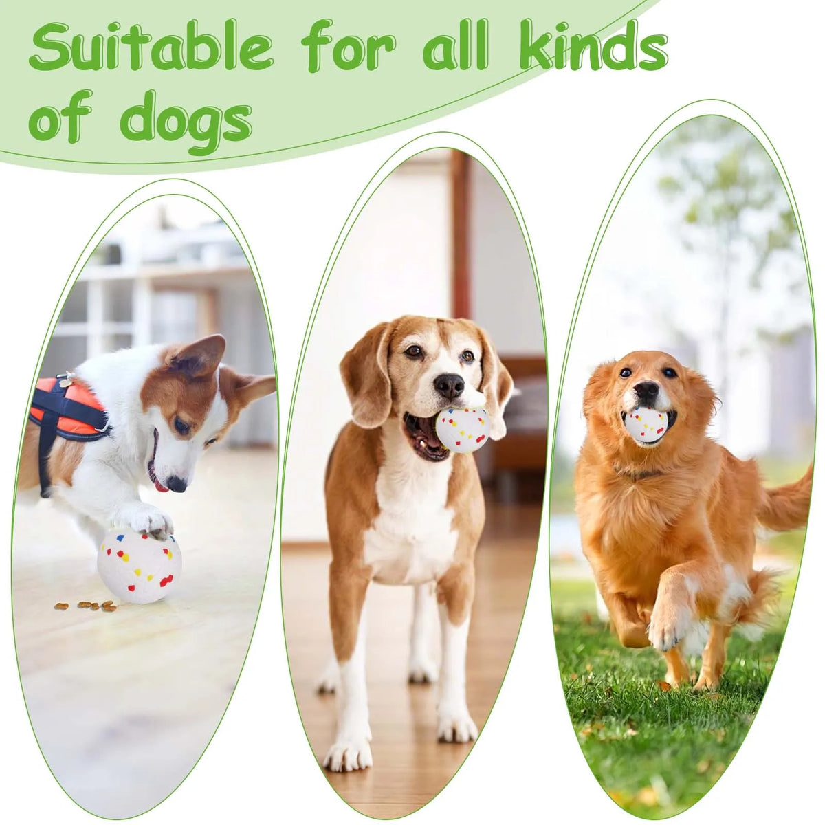 Lanzador de pelotas automático para perros
